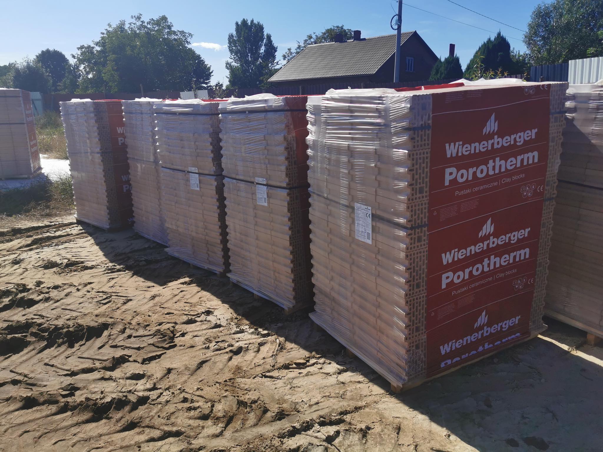 247524092_392367342521028_5920863328836993301_n